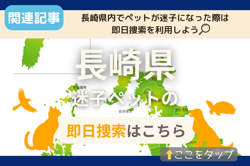 長崎県でのペット捜索に関連する記事をご紹介