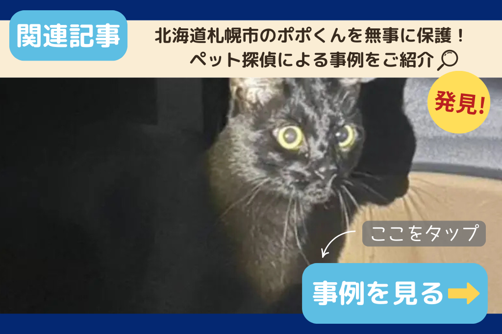 【迷子猫】北海道札幌市のポポくんを無事に保護！ペット探偵による事例をご紹介
