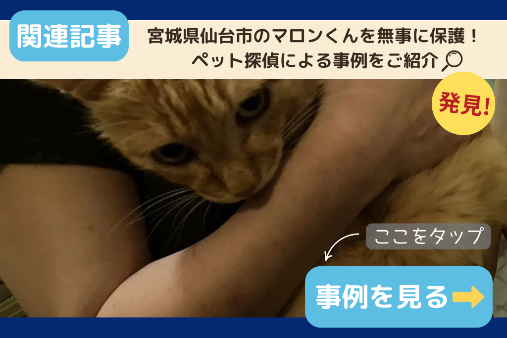 宮城県仙台市のマロンくんを保護!ペット探偵による事例をご紹介