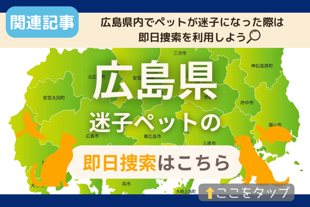 広島県でのペット捜索に関連する記事をご紹介