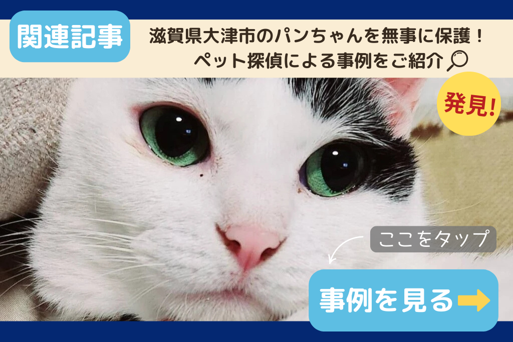 滋賀県大津市のパンちゃんを無事に保護！ペット探偵による事例をご紹介