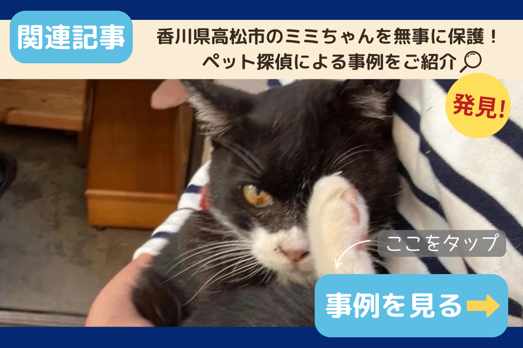 香川県高松市のミミちゃんを無事に保護!ペット探偵による事例をご紹介