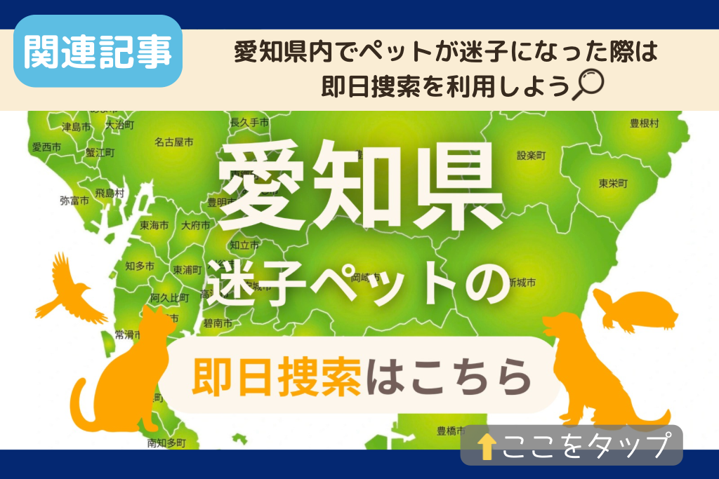 愛知県でのペット捜索に関連する記事を