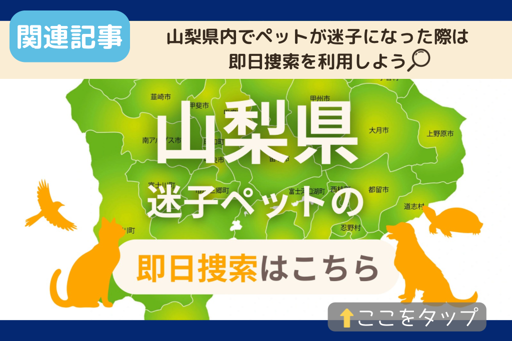 山梨県でのペット捜索に関連する記事をご紹介