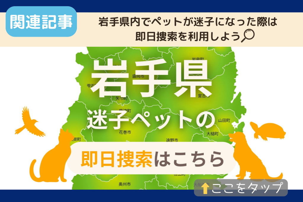 岩手県でのペット捜索に関連する記事をご紹介
