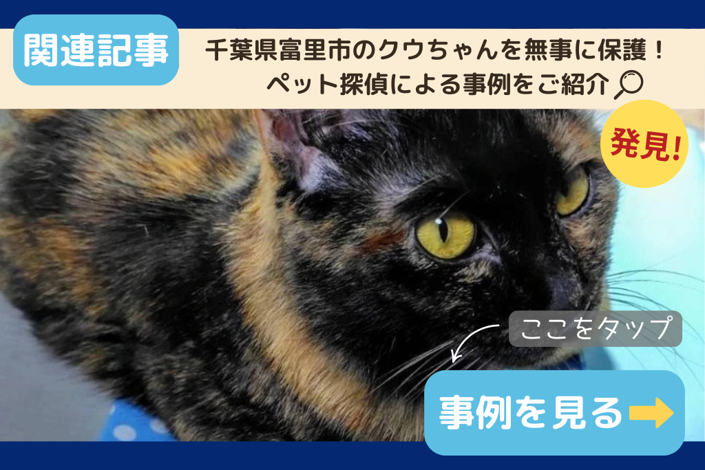 【迷子猫】千葉県富里市のクウちゃんを無事に保護！ペット探偵による事例をご紹介