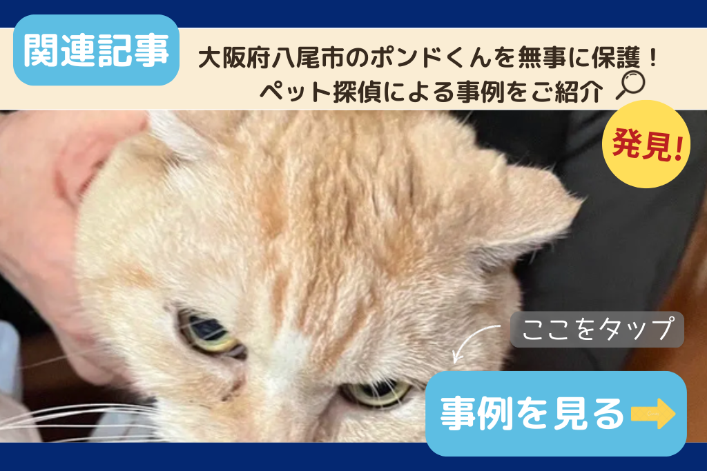 大阪府八尾市のポンドくんを無事に保護！ペット探偵による事例をご紹介
