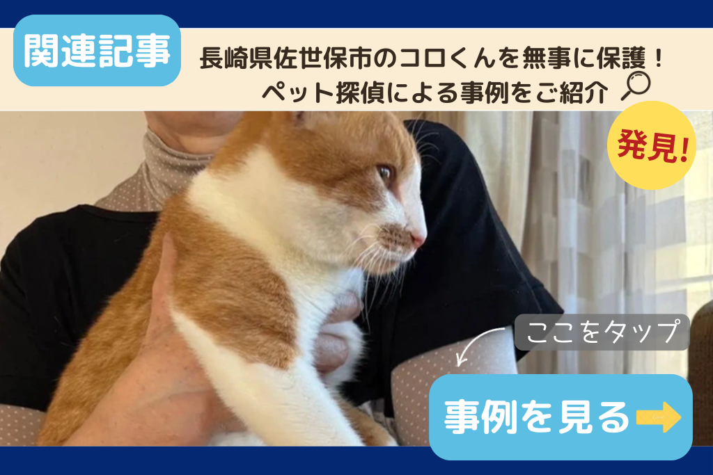 長崎県佐世保市のコロくん無事に保護！ペット探偵による事例をご紹介