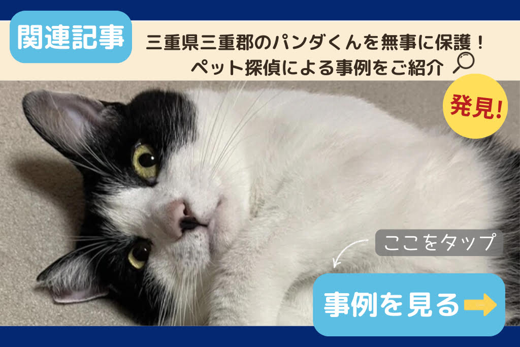 三重県三重郡のパンダくんを無事に保護!ペット探偵による事例をご紹介