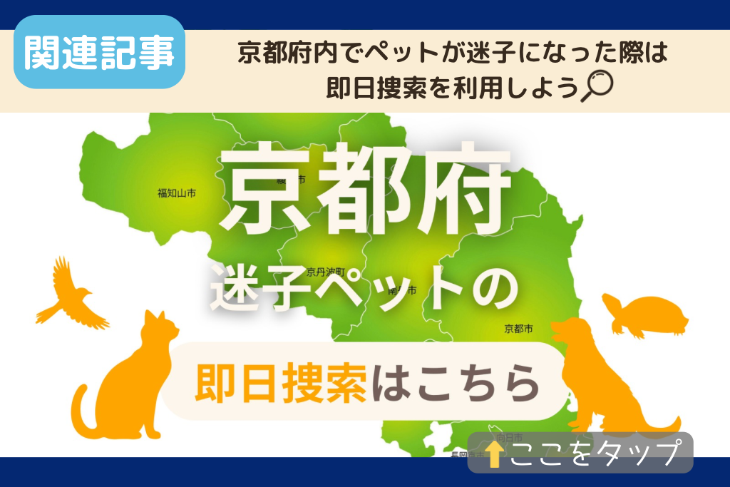 京都府でのペット捜索に関連する記事をご紹介