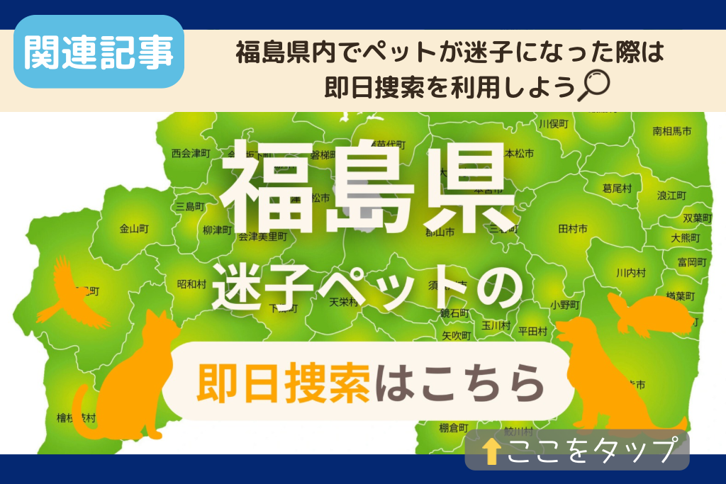 福島県でのペット捜索に関連する記事をご紹介