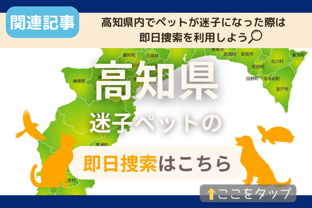 高知県でのペット捜索に関連する記事をご紹介