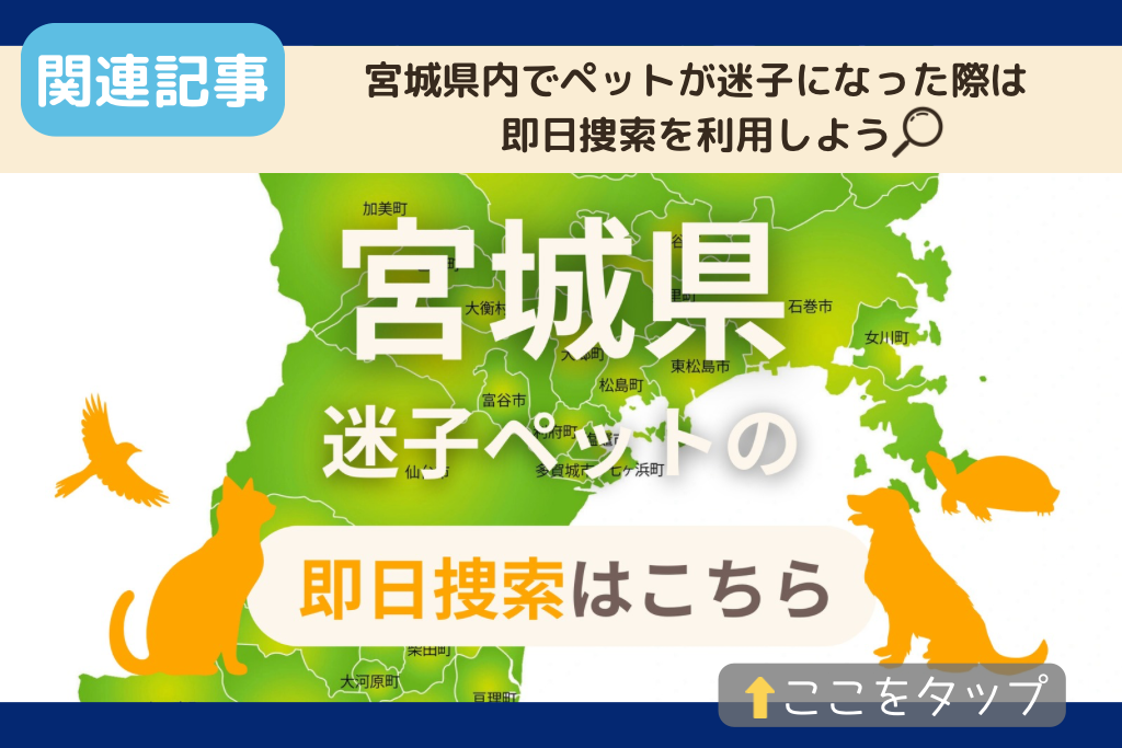宮城県でのペット捜索に関連する記事をご紹介