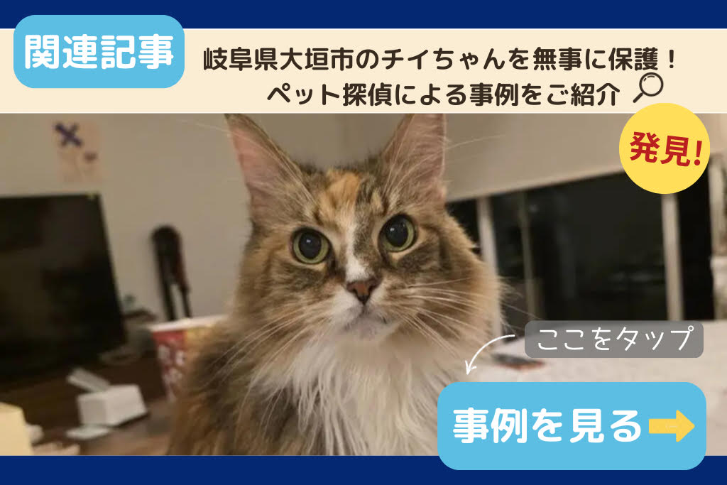 岐阜県大垣市のチイちゃんを無事に保護！ペット探偵による事例をご紹介
