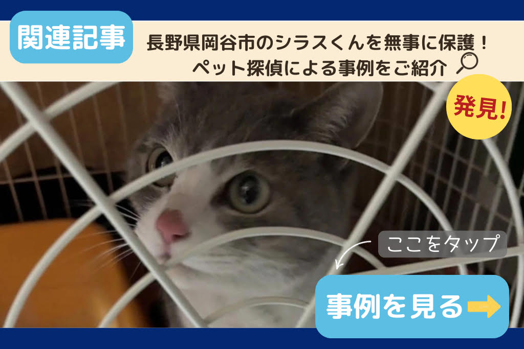 長野県岡谷市のシラスくんを無事に保護!ペット探偵による事例をご紹介