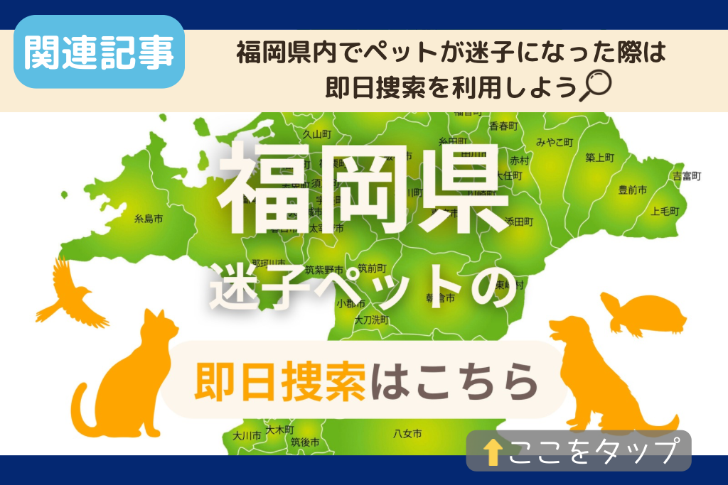 福岡県でのペット捜索に関連する記事をご紹介