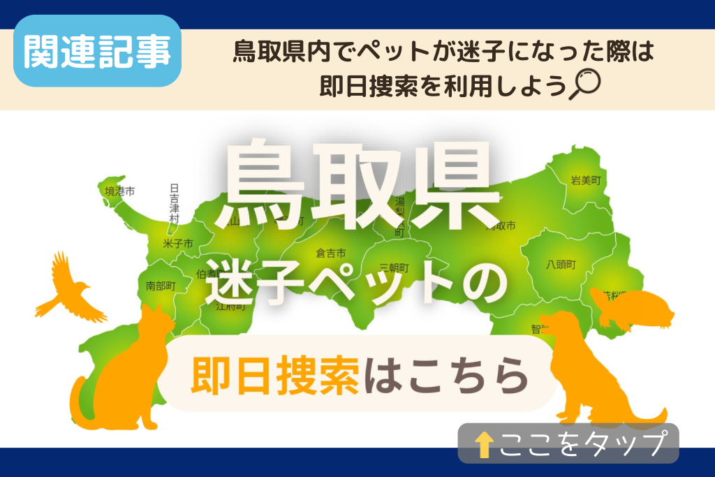 鳥取県でのペット捜索に関連する記事をご紹介
