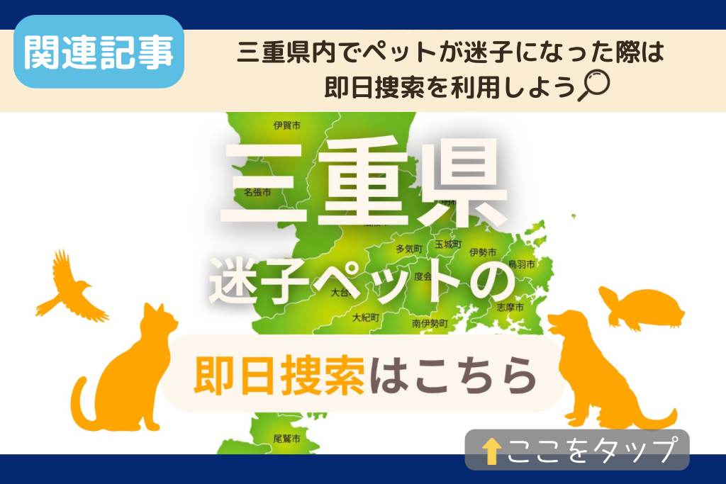 三重県でのペット捜索に関連する記事をご紹介