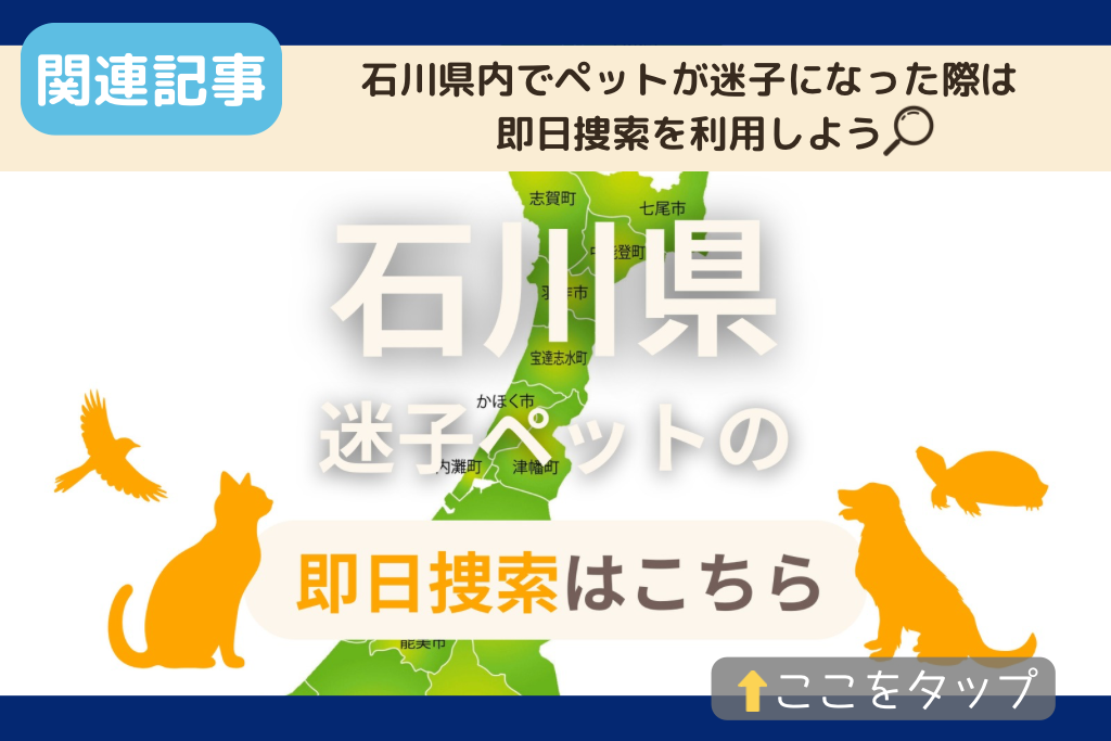 石川県でのペット捜索に関連する記事をご紹介