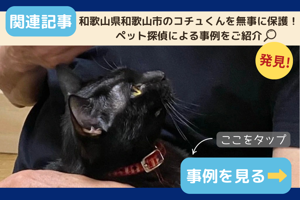 和歌山県和歌山市のフクくんを無事に保護!ペット探偵による事例をご紹介