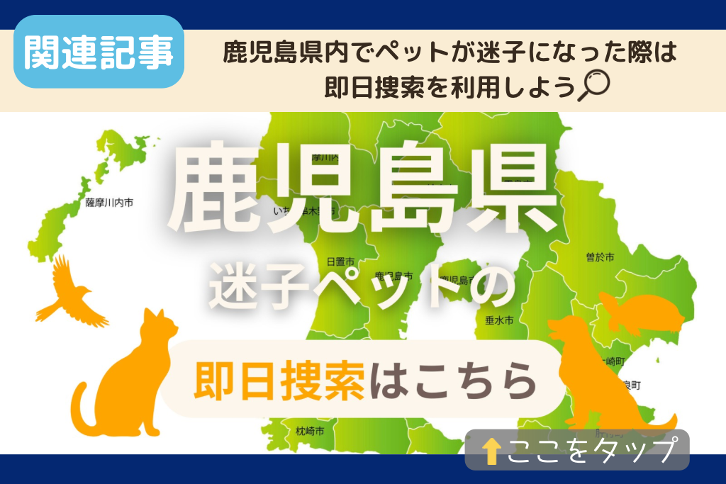 鹿児島県でのペット捜索に関連する記事をご紹介