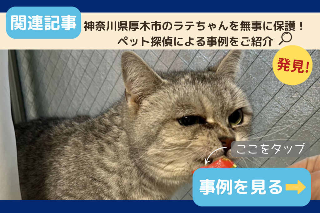 神奈川県厚木市のラテちゃんを無事に保護！ペット探偵による事例をご紹介