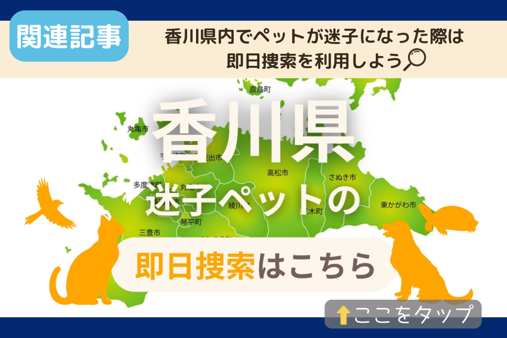 香川県でのペット捜索に関連する記事をご紹介