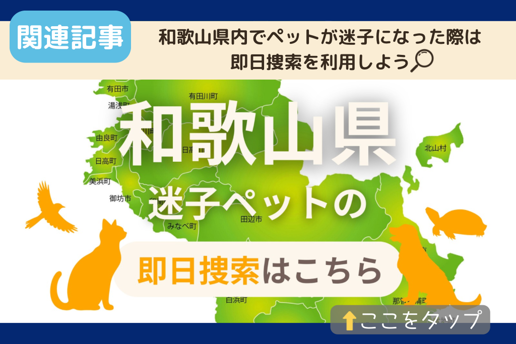 和歌山県でのペット捜索に関連する記事をご紹介