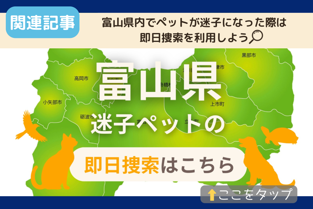 富山県でのペット捜索に関連する記事をご紹介