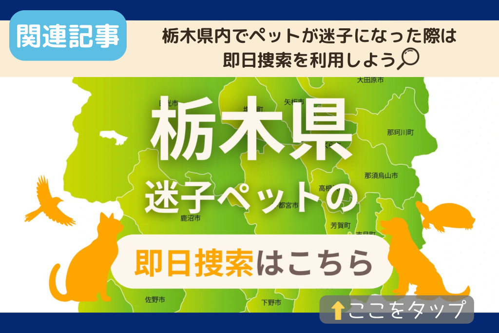 栃木県でのペット捜索に関連する記事をご紹介