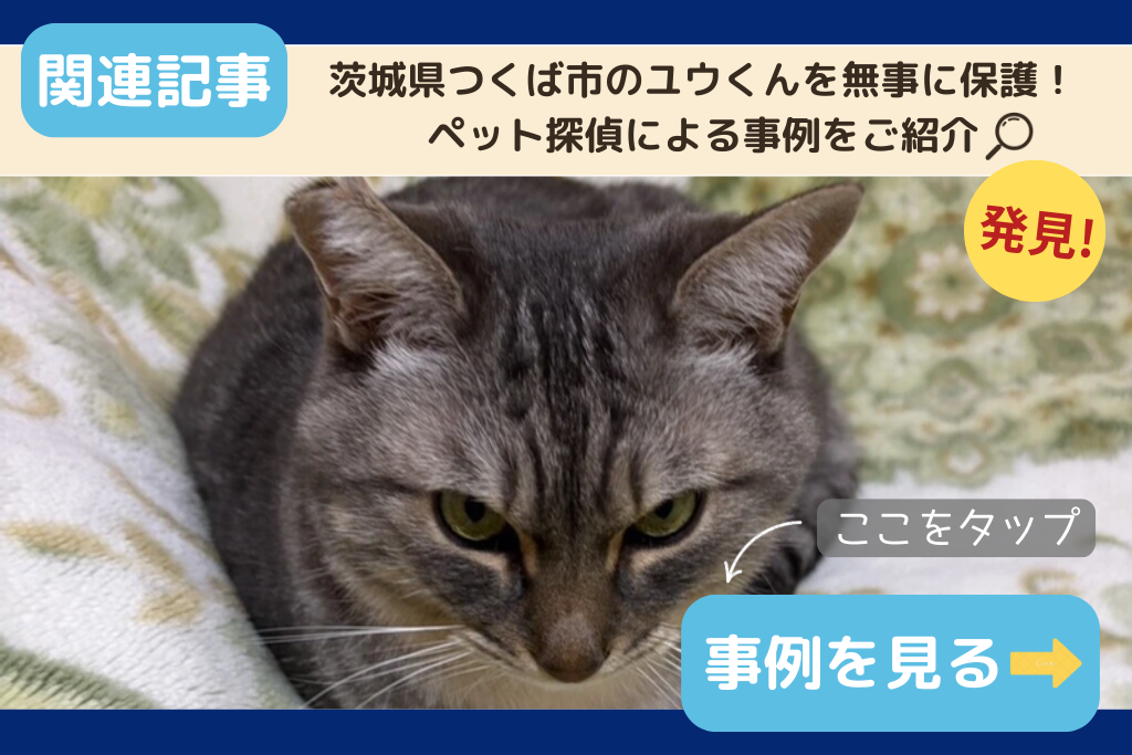 茨城県つくば市のユウくんを無事に保護!ペット探偵による事例をご紹介