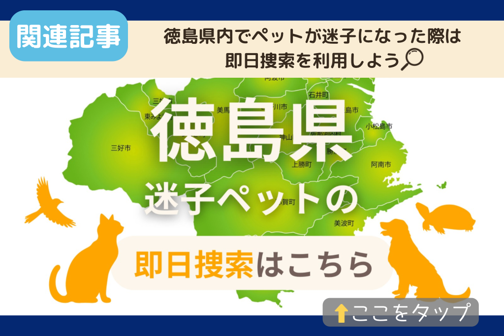 徳島県でのペット捜索に関連する記事をご紹介