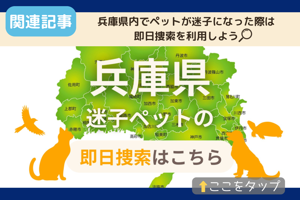 兵庫県でのペット捜索に関連する記事をご紹介