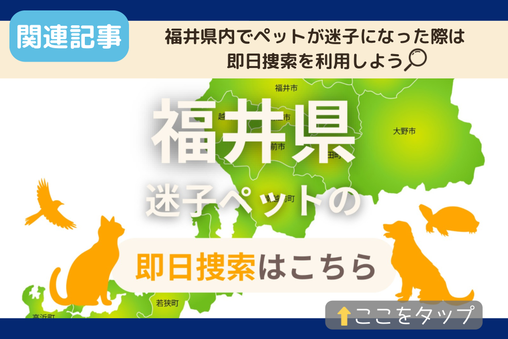 福井県でのペット捜索に関連する記事をご紹介