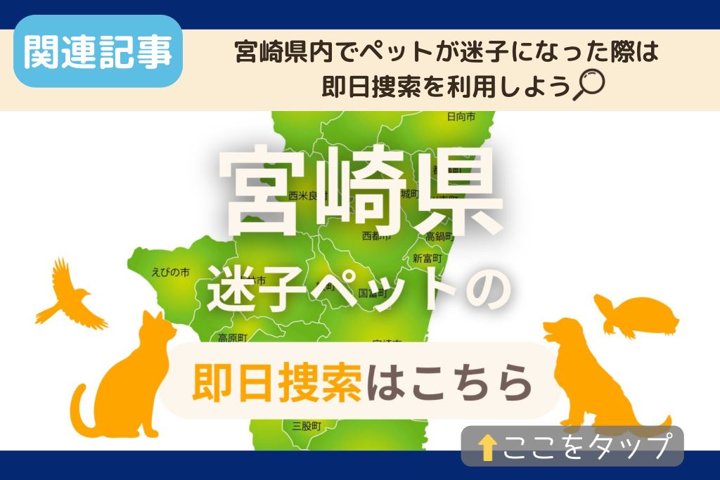 宮崎県でのペット捜索に関連する記事をご紹介