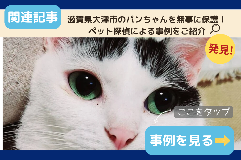 滋賀県大津市のパンちゃんを無事に保護！ペット探偵による事例をご紹介