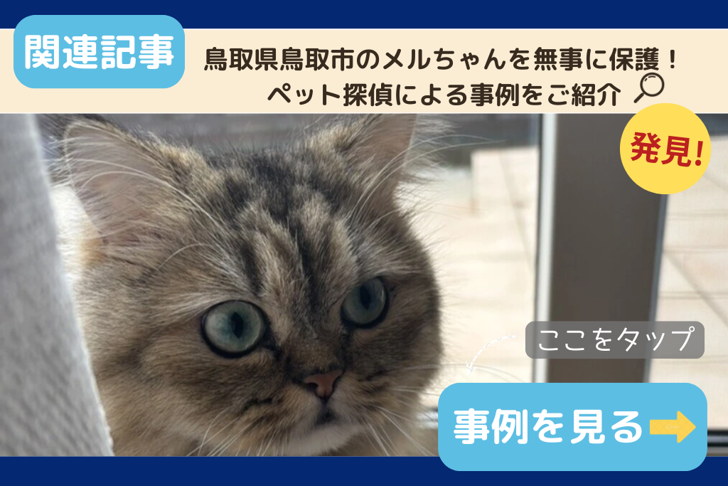 鳥取県鳥取市のメルちゃんを無事に保護！ペット探偵による事例をご紹介