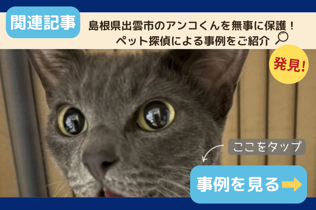 島根県出雲市のアンコくんを無事に保護！ペット探偵による事例をご紹介