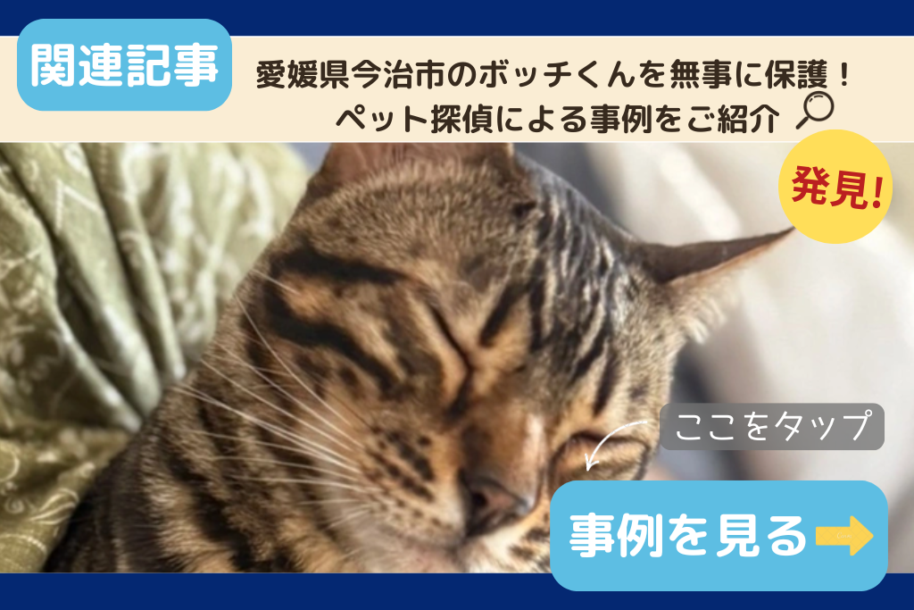 愛媛県今治市のボッチくんを無事に保護！ペット探偵による事例をご紹介