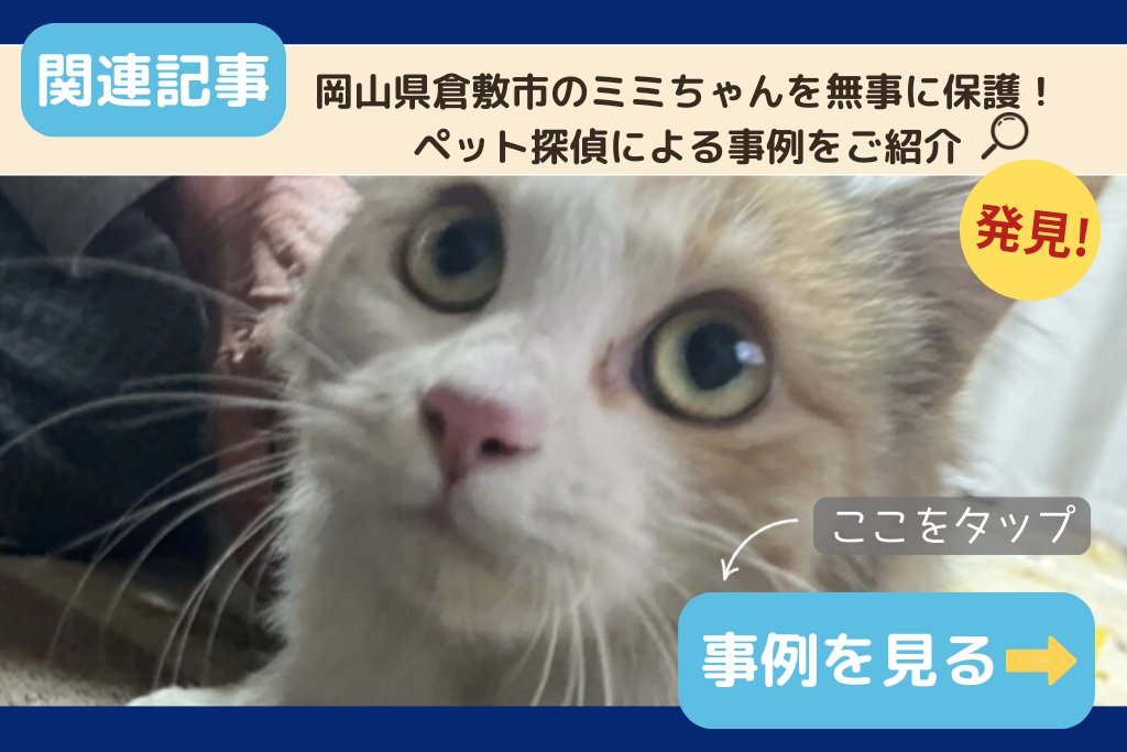 岡山県倉敷市のミミちゃんを無事に保護!ペット探偵による事例をご紹介