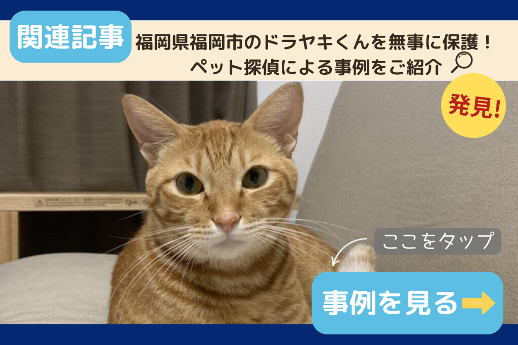 福岡県福岡市のドラヤキくん無事に保護!ペット探偵による事例をご紹介