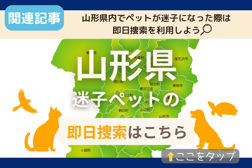 山形県でのペット捜索に関連する記事をご紹介