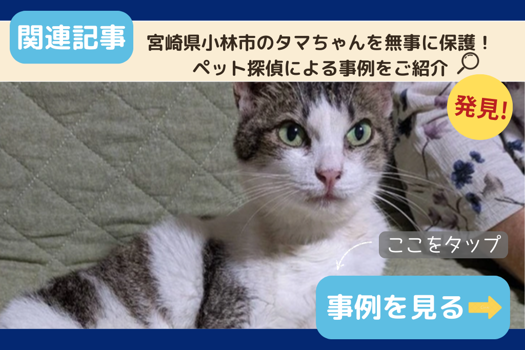 宮崎県小林市のタマちゃん無事に保護！ペット探偵による事例をご紹介