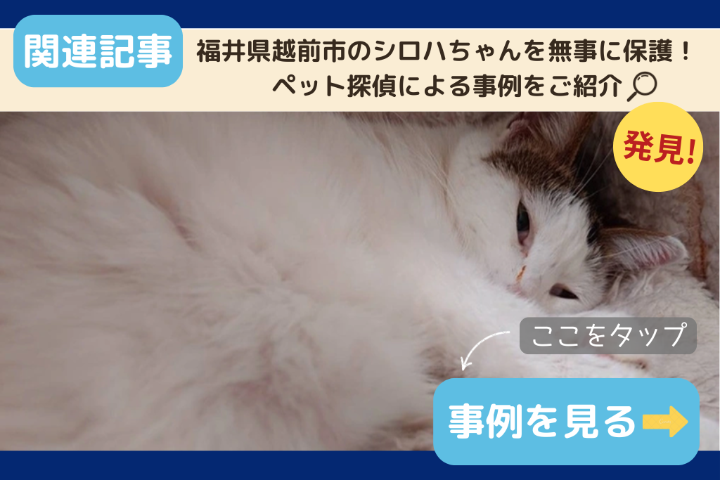 福井県越前市のシロハちゃんを無事に保護！ペット探偵による事例をご紹介