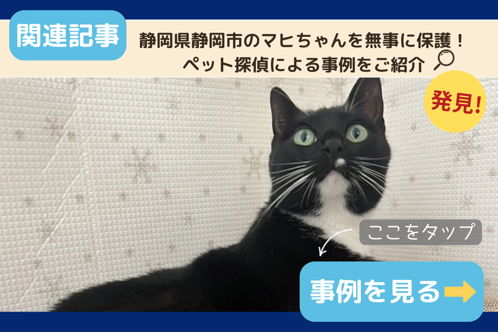静岡県静岡市のマヒちゃんを無事に保護！ペット探偵による事例をご紹介