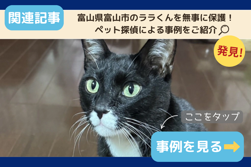富山県富山市のララくんを無事に保護！ペット探偵による事例をご紹介