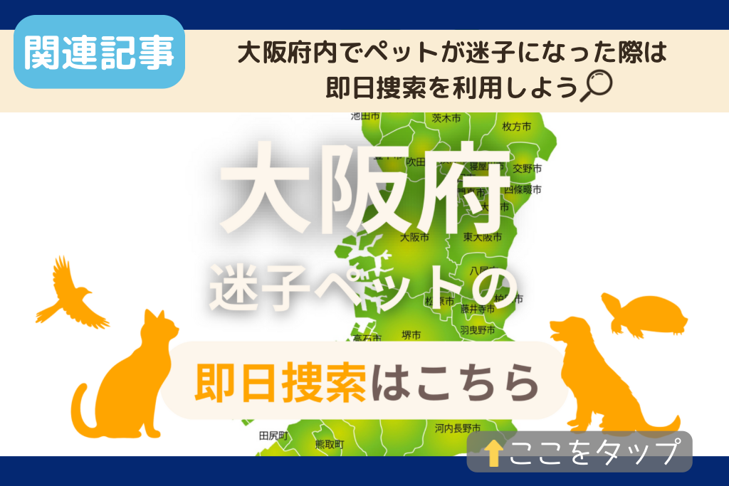 大阪府でのペット捜索に関連する記事をご紹介