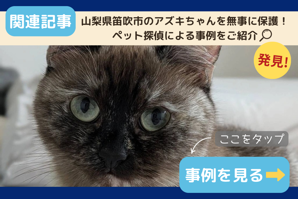 山梨県でのペット捜索に関連する記事をご紹介