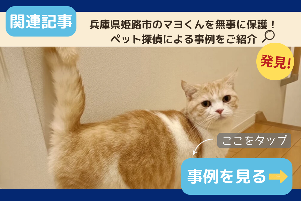 兵庫県姫路市のマヨくんを無事に保護!ペット探偵による事例をご紹介