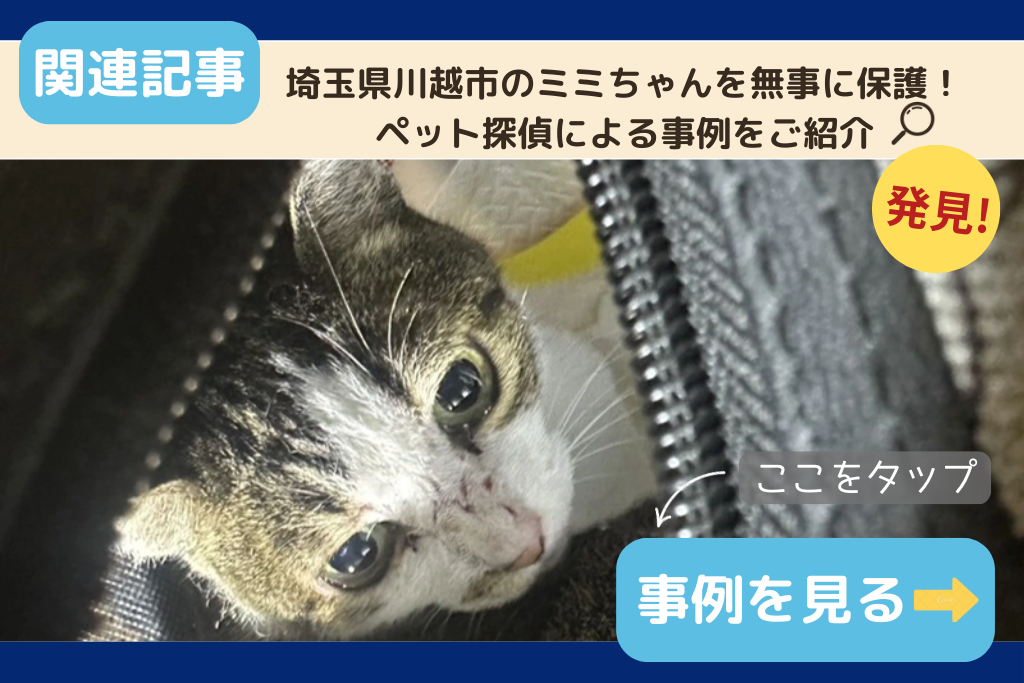 埼玉県川越市のミミちゃんを無事に保護！ペット探偵による事例をご紹介